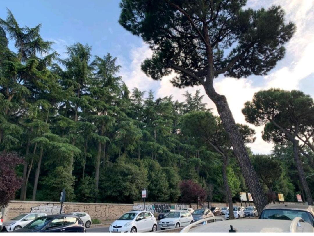 Roma San Pietro Apartment Luaran gambar